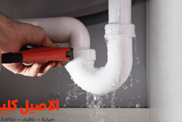 شركة تركيب طارد الحمام بالرياض
