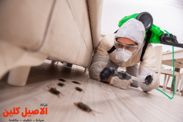 شركة مكافحة البق بالرياض