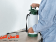 شركة مكافحة النمل الأبيض بالرياض