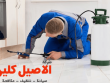 شركة مكافحة حشرات بالرياض